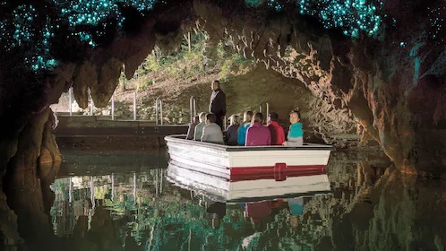 2-Day Combo: Auckland City Sights & Waitomo Glowworm Caves