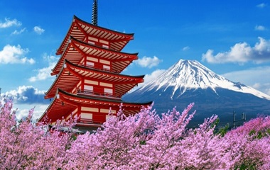 Experience Japan Like Never Before