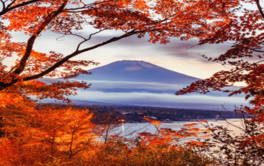 Japan’s Golden Route Including Flights
