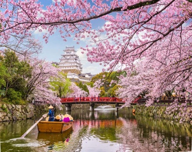 7 Day Japan Getaway