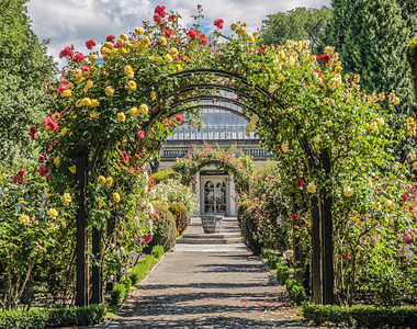 New Zealand Uncovered(Auckland to Christchurch)