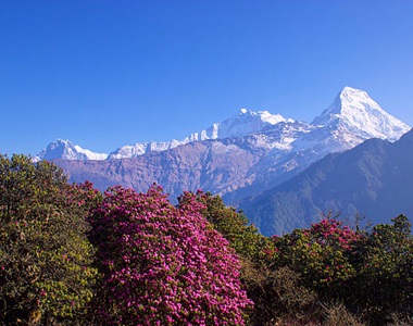 Annapurna Base Camp Yoga Trek with Daily Yoga & Meditation