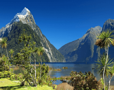 New Zealand Magic